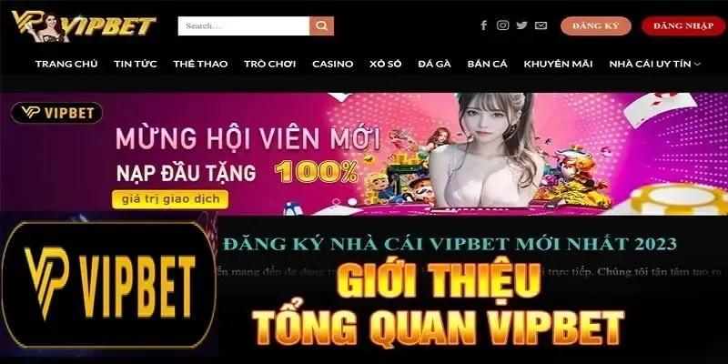 Những Lưu Ý và Yêu Cầu Tuân Thủ Khi Đăng Ký VIPBet